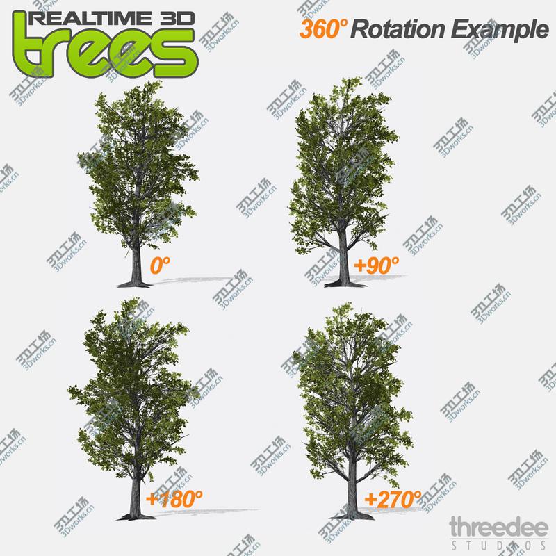 images/goods_img/2021040233/Realtime 3D Trees XL - 16 Pack/2.jpg